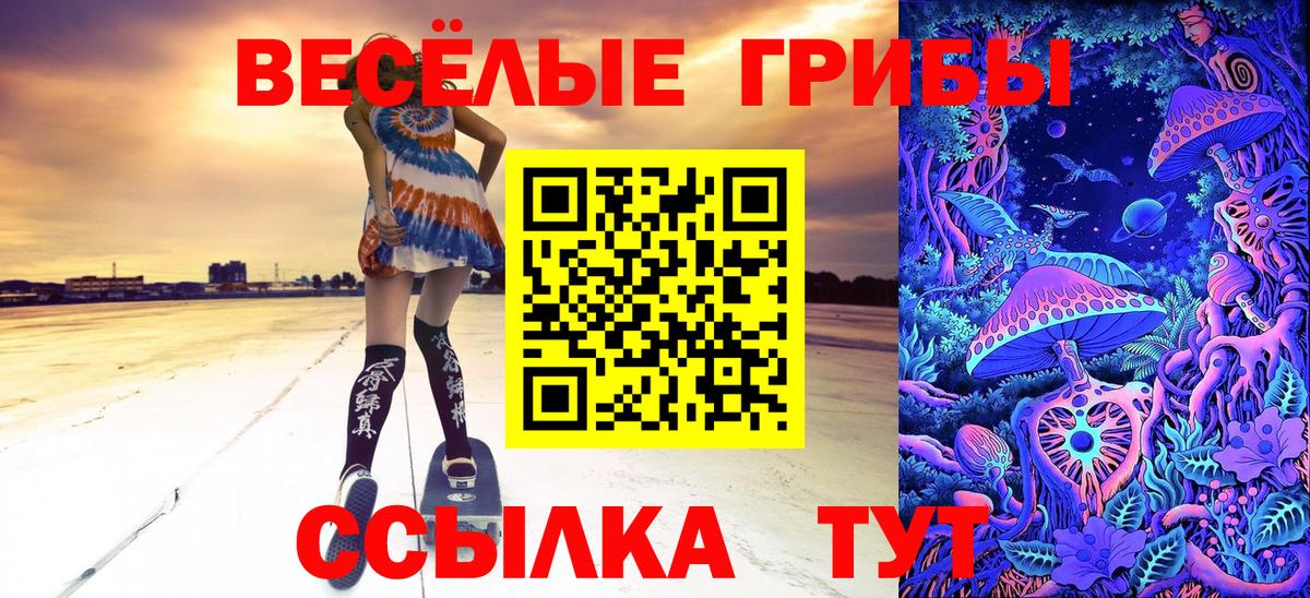 Великий Новгород  Псилоцибиновые грибы мухоморы  Вход с VPN 